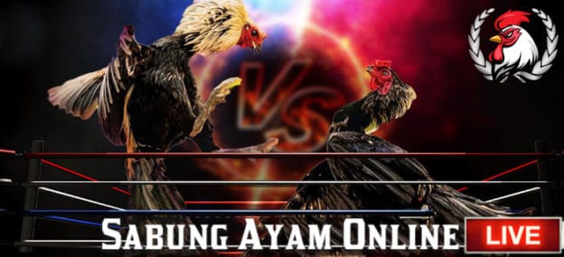 Sabung Ayam Online