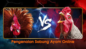 Sabung Ayam Online