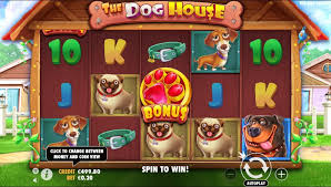 Slot The Dog House